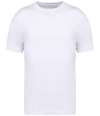NS332 Native Spirit Oversized T-Shirt White colour image